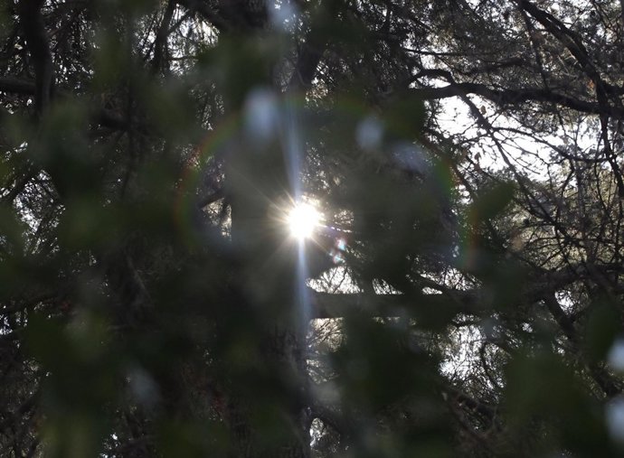 Recursos De Buen Tiempo, Sol