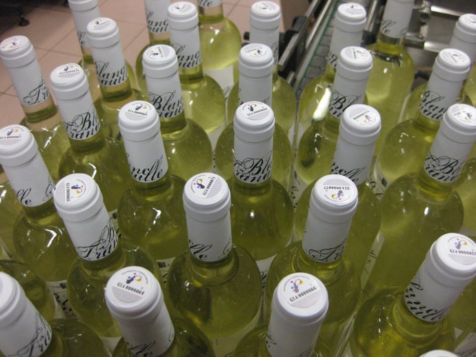 Vino blanco Penedès