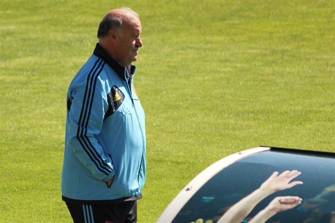 Vicente Del Bosque Entrenamiento Selección Española