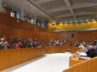 Las Cortes de Aragón aprueban la Ley de Estabilidad Presupuestaria