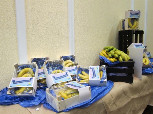 Plátanos De Canarias