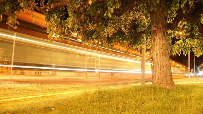 La Fotografía Ganadora, 'A Todo Tranvía'