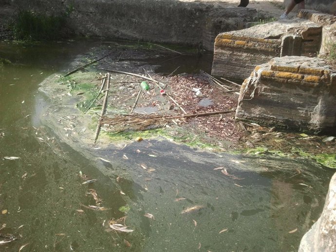 Una De Las Partes Del Río Guadaíra, A Su Paso Por Alcalá