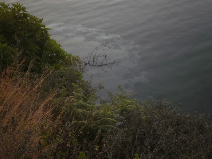 Estado Del Mar En Una Playa Del Campo De Gibraltar