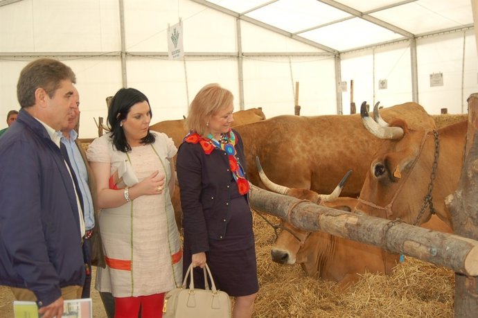 Mercedes Fernández Visita La Feria De Muestras