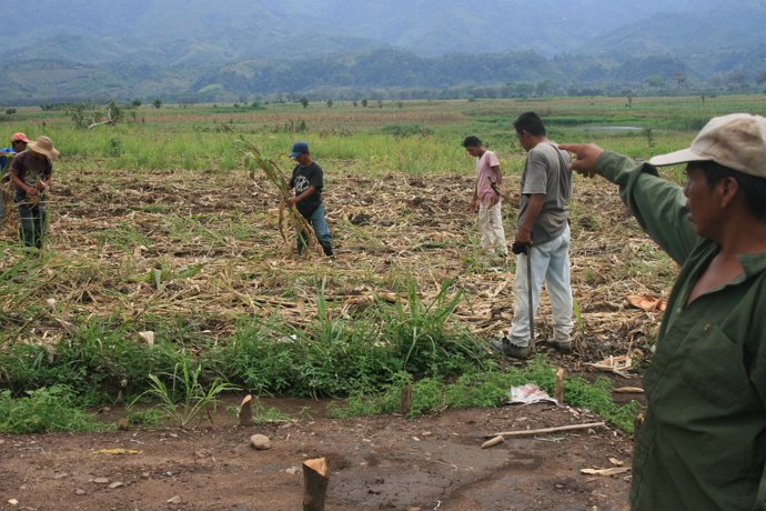 Campesinos De Guatemala