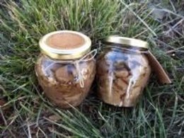 Imagen De Setas Embotadas De Prosilvestre