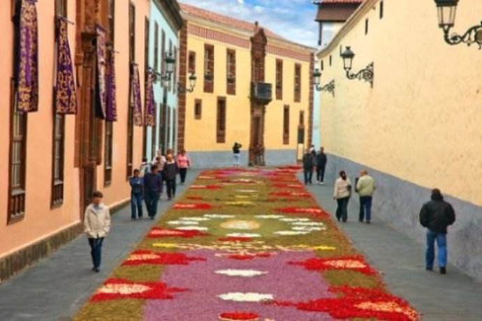 Alfombras De La Laguna