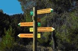 Nueva Señalización