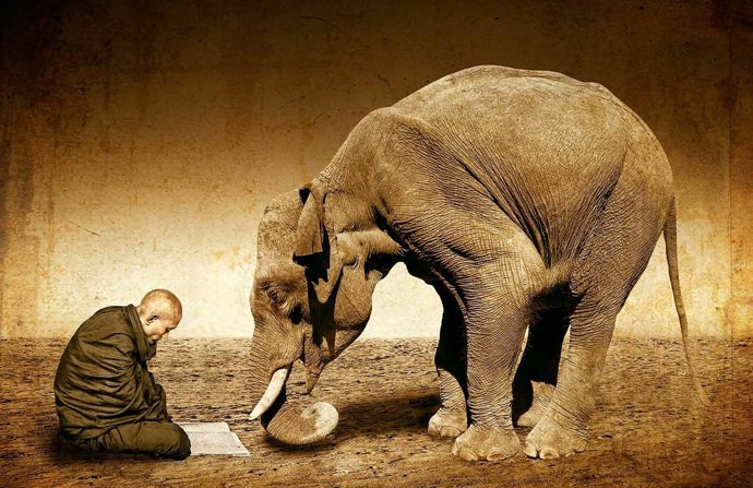 Foto Ganadora Concurso Ayuntamiento De Fraga 2011