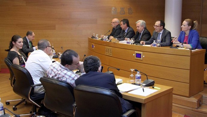 El Exmiembro De La Comisión De Control De La CAM  Francisco Grau En Las Corts 