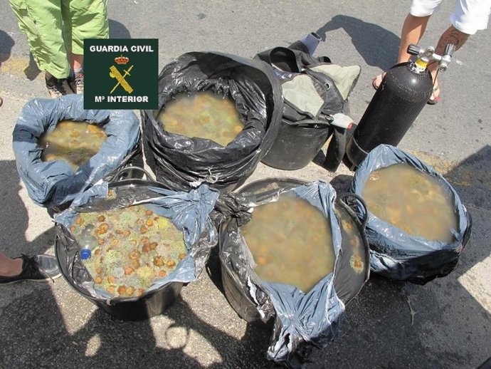 Material intervenido