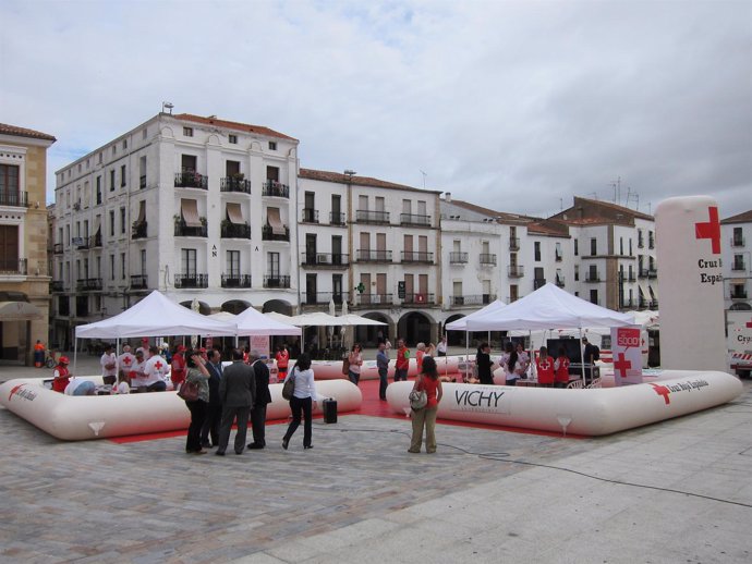 Campaña De Cruz Roja En Cáceres