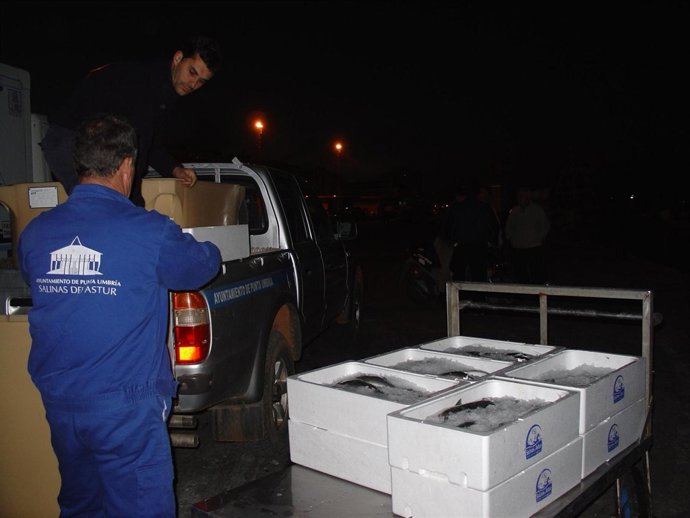 Imagen De Salinas Del Astur En Punta Umbría (Huelva).