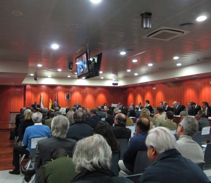 Un momento del juicio del caso 'Malaya'