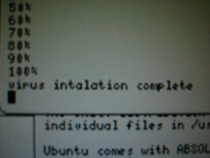 Pantalla De Instalación De Un Virus