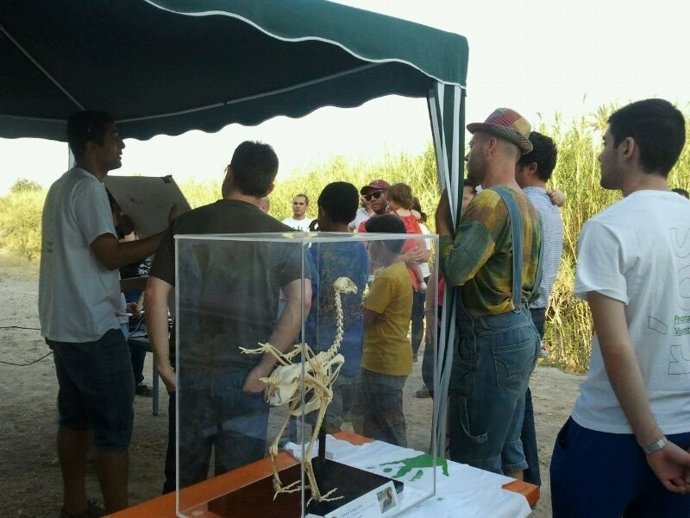 Imagen Del Taller De Aves Del Proyecto 'El Río Mula Despierta Tus Sentidos'