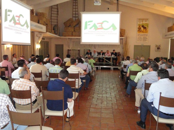 La Asamblea De Faeca-Córdoba