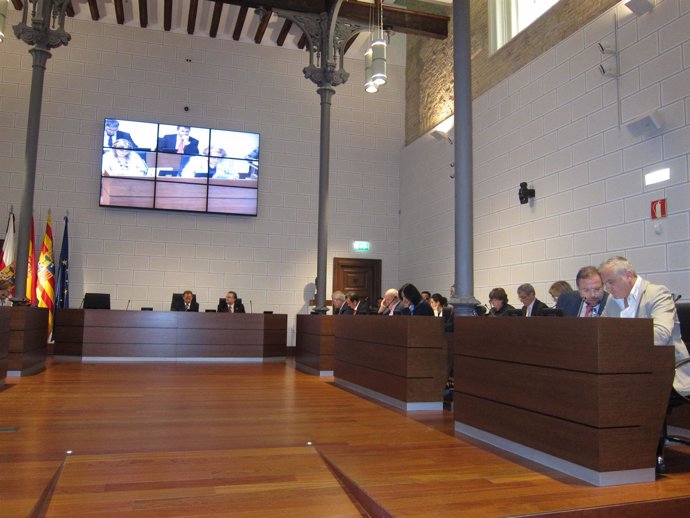 Pleno En La Diputación Provincial De Zaragoza (DPZ)