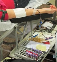 Cruz Roja avisa de que sólo dona sangre el 5 por ciento de los potenciales donantes 