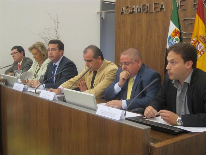 Presentación Guías De Estilo