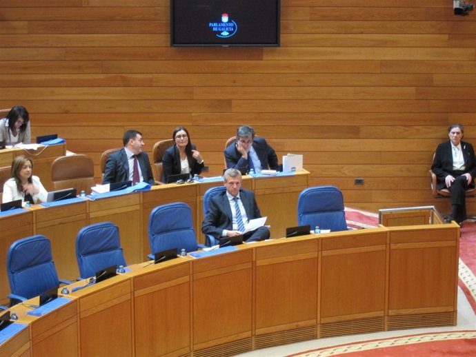 El Conselleiro De Presidencia, Alfonso Rueda, En El Pleno