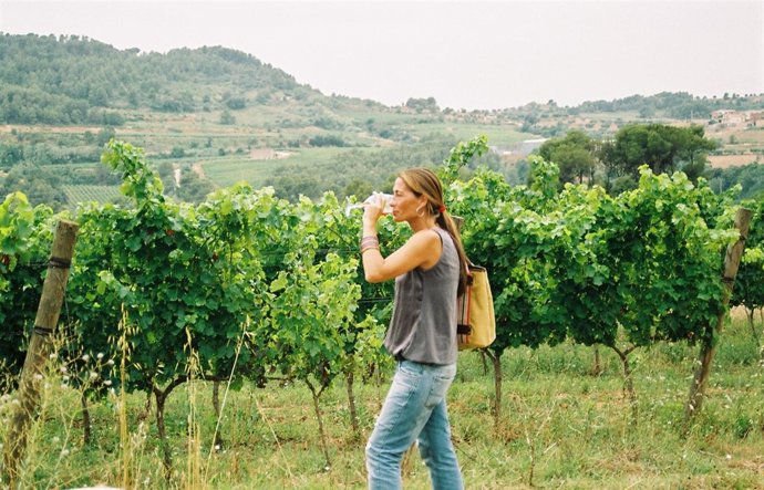 'Rutas Del Vino Por España'