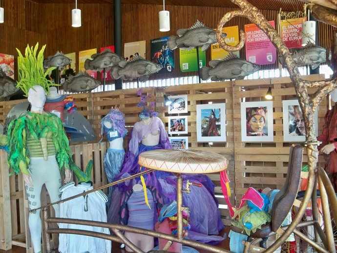 Imagen De La Exposición 