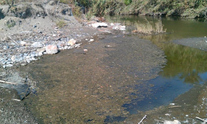 Vertidos Fecales En Un Río Denunciado Por El PP Málaga