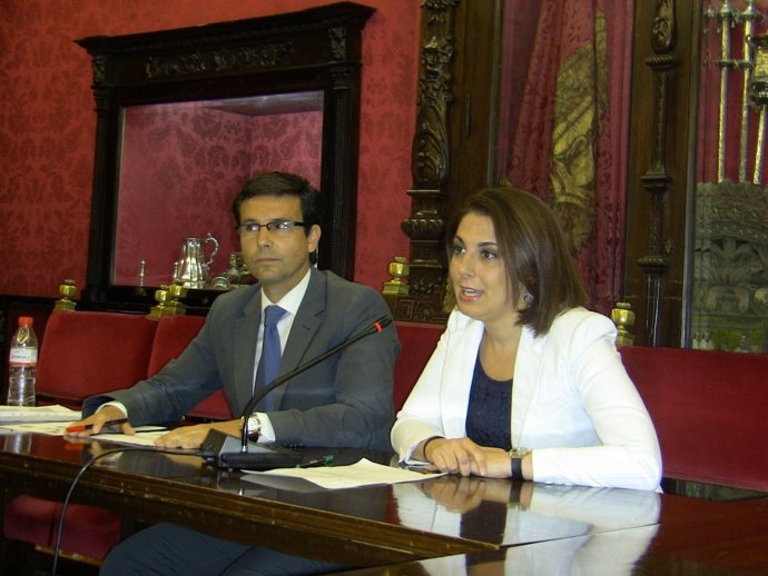 El PSOE Censura La Falta De Apoyo A Vuelos De Bajo Coste