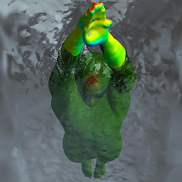 Fastskinracing System De Speedo 