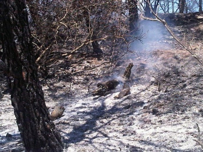 Incendio De Castellet I La Gornal