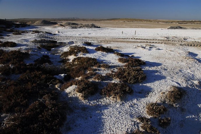 Una Laguna Salada De Sástago 