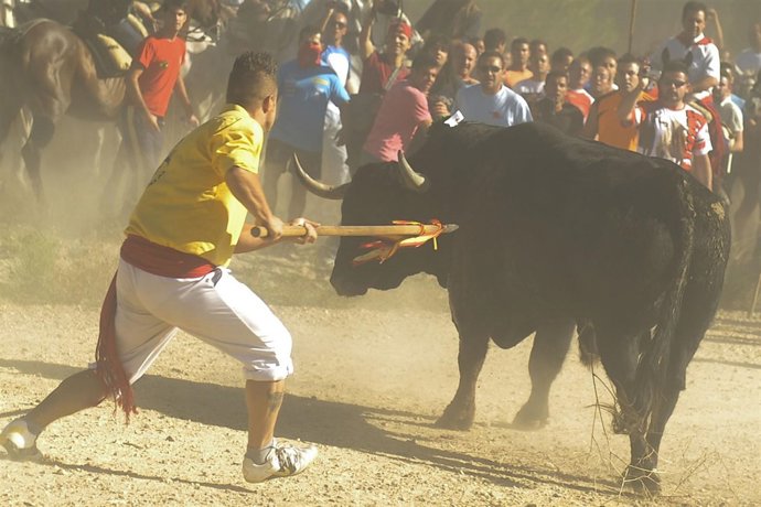 Escena Del Toro De La Vega En 2011                 