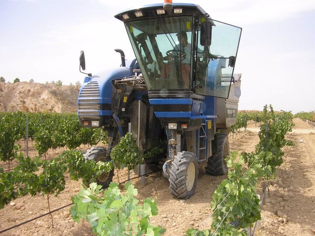 Tractor en viñedos