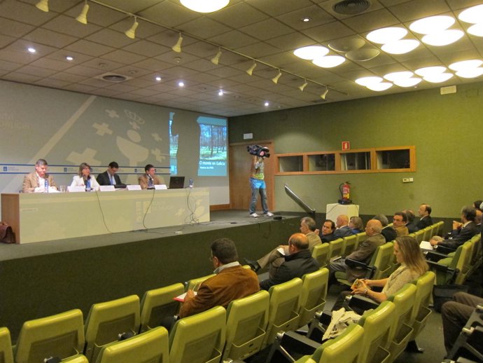 Reunión Del Consello Forestal De Galicia