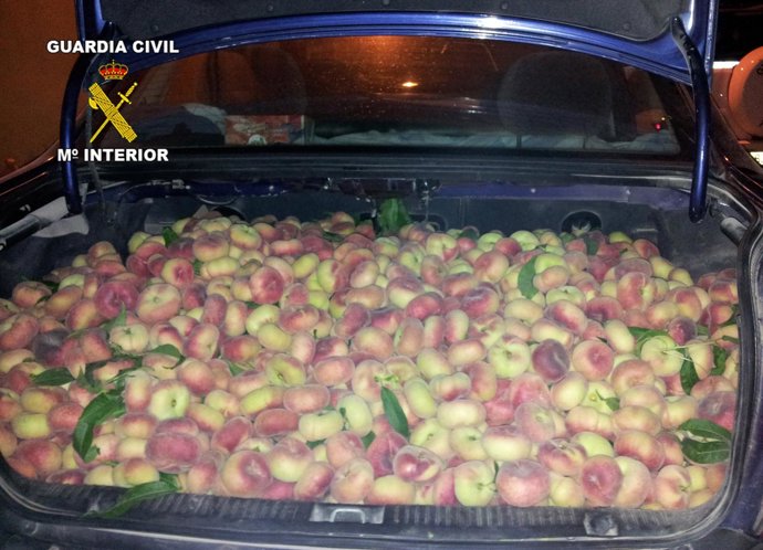La Guardia Civil Detiene A Cinco Personas Por La Sustracción De Fruta En Cieza