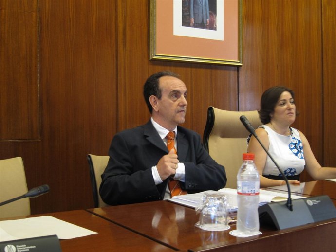El Consejero De Turismo Y Comercio, Rafael Rodríguez, Hoy En El Parlamento.