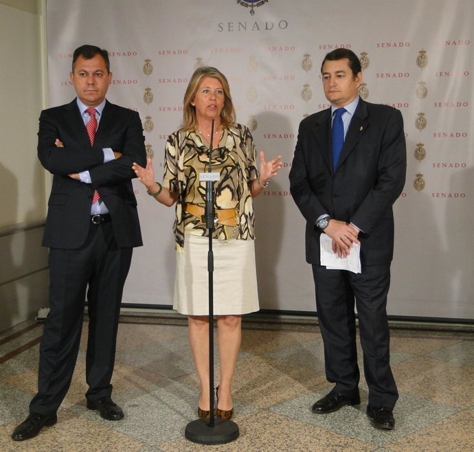 FOTOS RUEDA DE PRENSA MUÑOZ SANZ 1