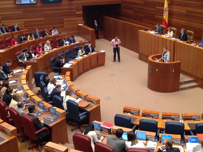 Pleno De Las Cortes