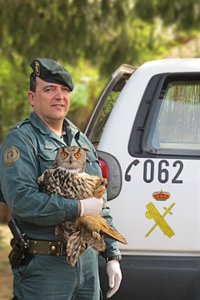 El SEPRONA de la Guardia Civil de Castilla-La Mancha detuvo a 26 personas e imputó a 35 personas durante 2011