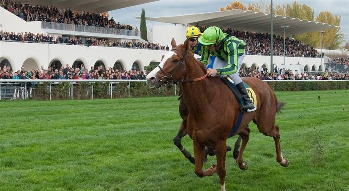 Entrecopas En El Hipódromo De La Zarzuela