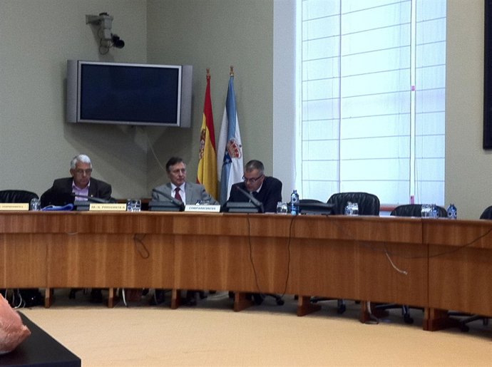 El Director Xeral De Emerxencias En Comisión