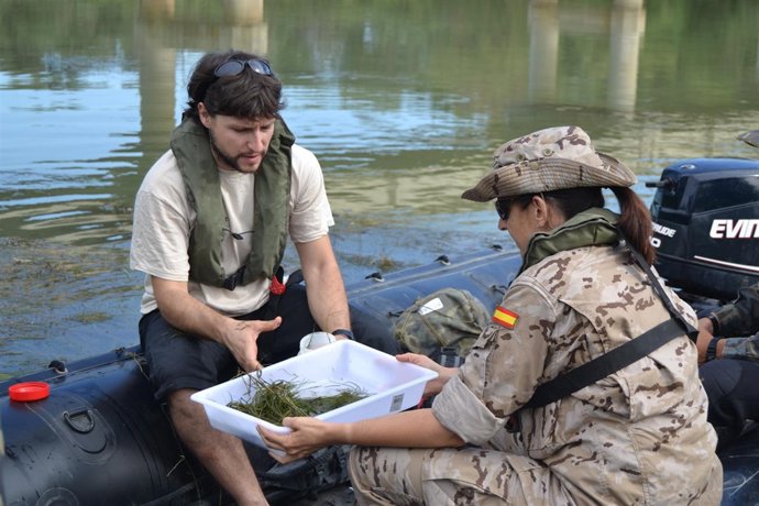 Veterinarios Militares Y Civiles Capturan Larvas De Mosca Negra En El Ebro
