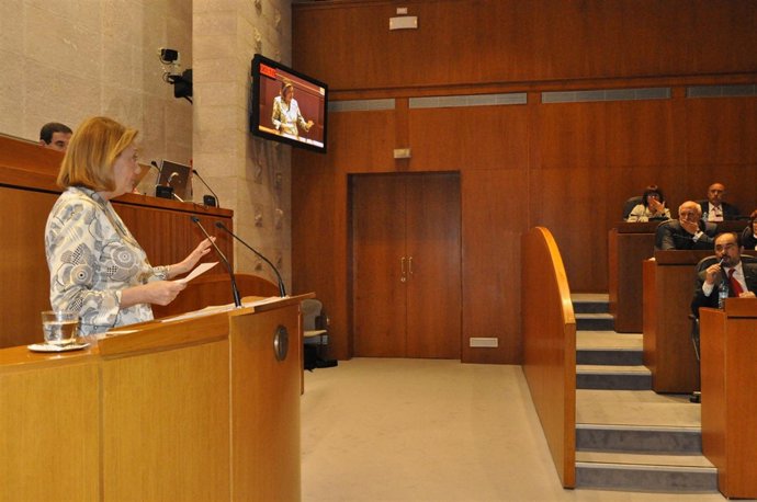 Luisa Fernanda Rudi, En El Pleno
