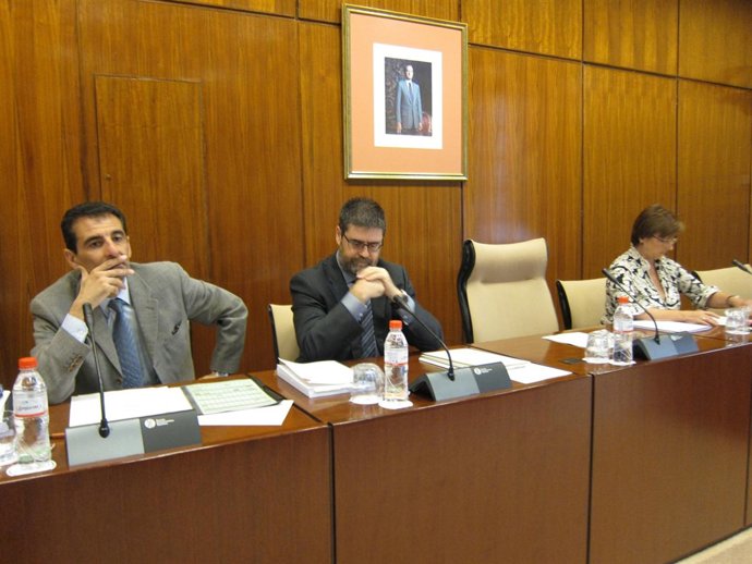 El Presidente De La Cámara De Cuentas De Andalucía, Antonio López