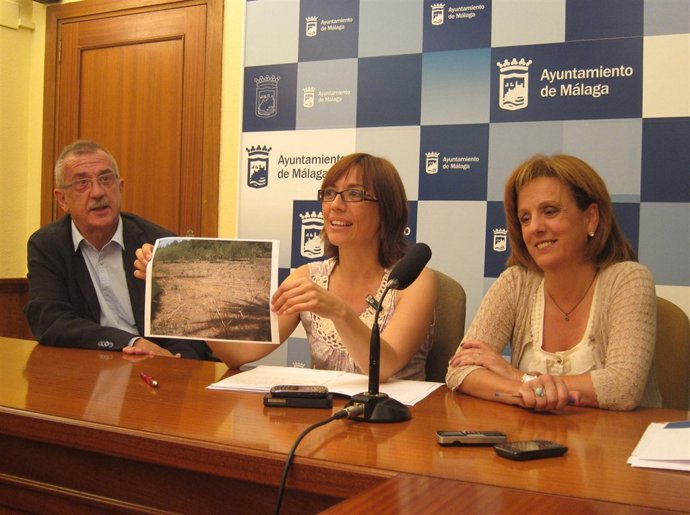 Los concejales del PSOE Hernández Pezzi, Gámez y Medina