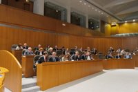 Apoyo unánime al Miner y para que el Gobierno aragonés elabore un plan de reactivación económica