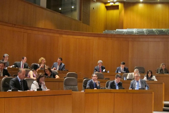 Pleno De Las Cortes De Aragóm