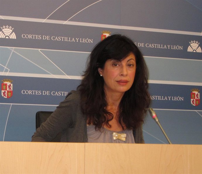 La Viceportavoz Del Grupo Socialista, Ana Redondo